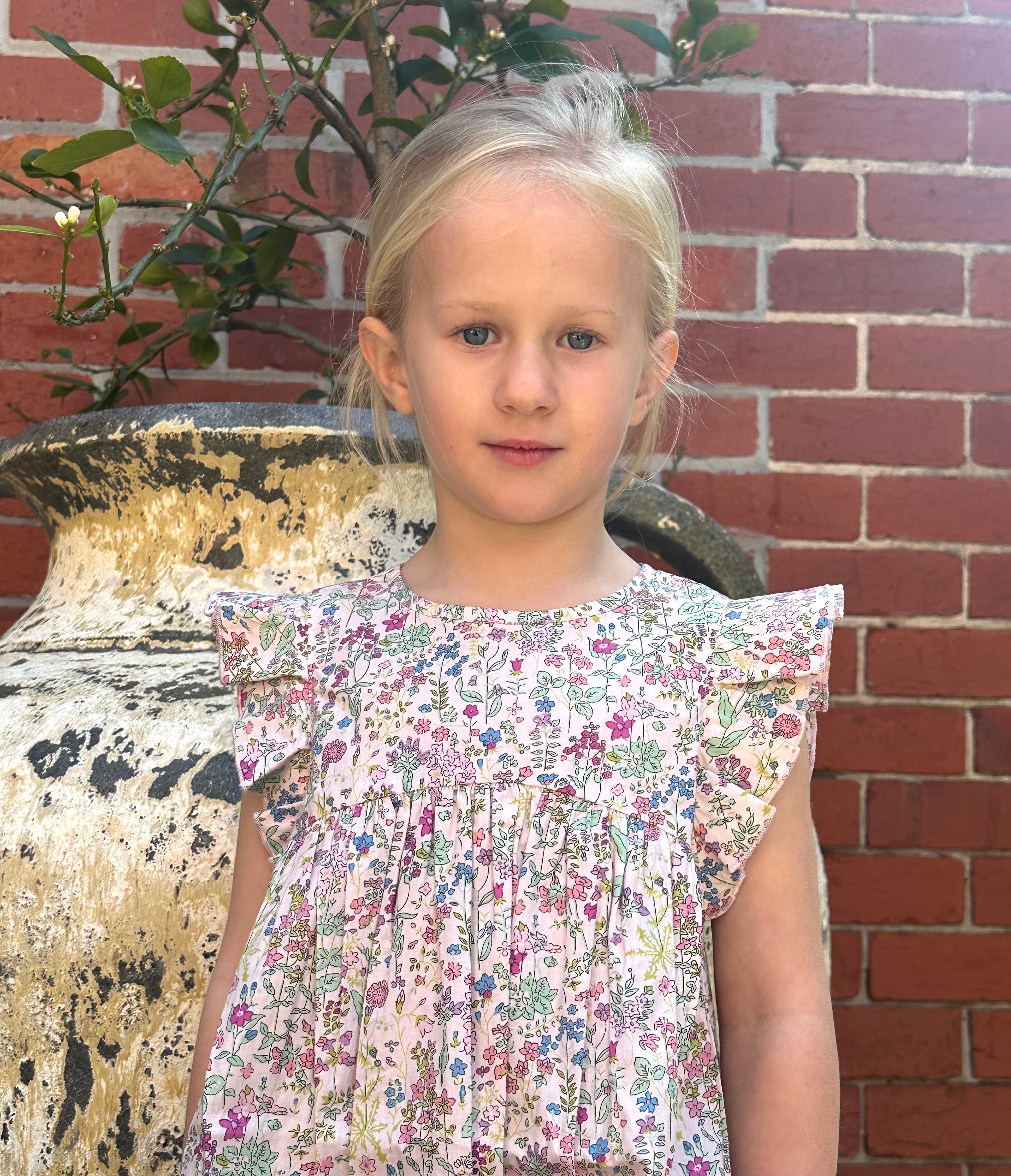 Frill Sleeve Dress In Pale Pink Floral - Cou Cou Baby